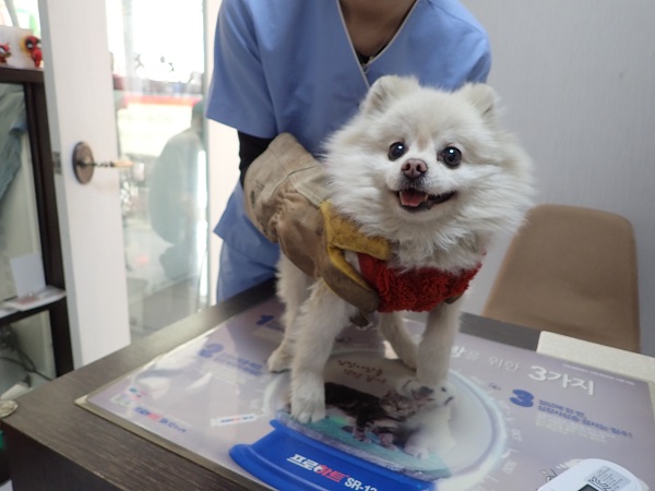화원연합동물병원_427348202300999
